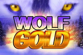 Wolf Gold Gizbo Casino